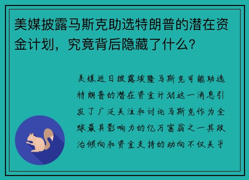 美媒披露马斯克助选特朗普的潜在资金计划，究竟背后隐藏了什么？