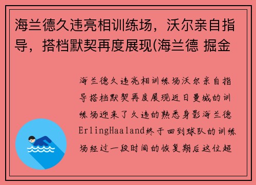 海兰德久违亮相训练场，沃尔亲自指导，搭档默契再度展现(海兰德 掘金)