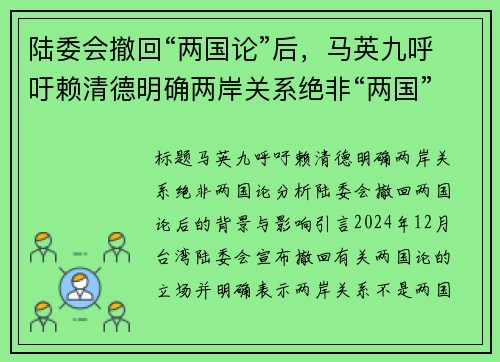 陆委会撤回“两国论”后，马英九呼吁赖清德明确两岸关系绝非“两国”